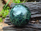 Polished Stromatolite Spheres x 3 From Katsepy, Madagascar - Toprock Gemstones and Minerals 
