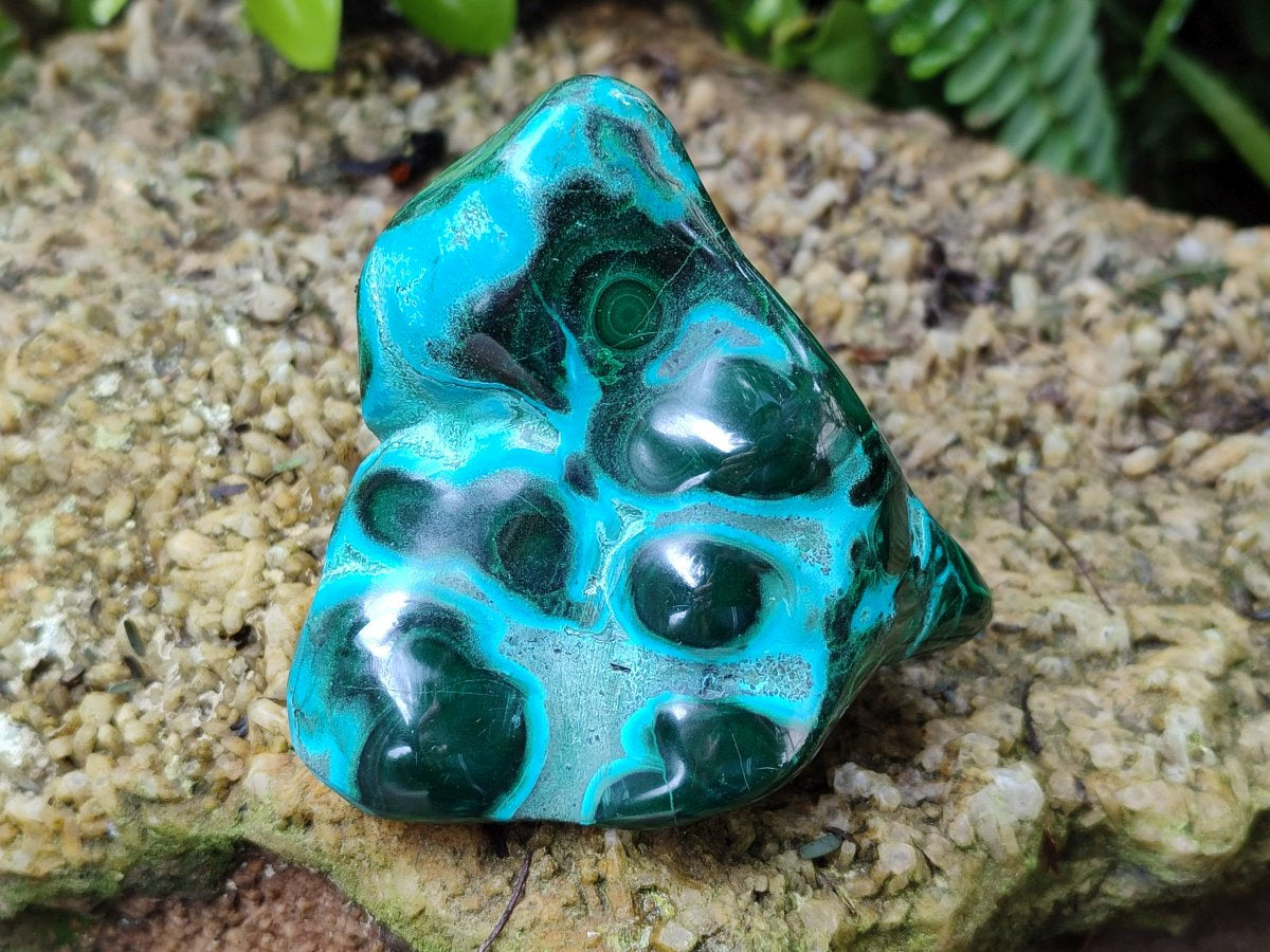 Polished Malacolla Free Forms x 4 From Kulukuluku, Congo - Toprock Gemstones and Minerals 