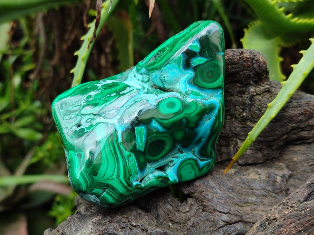 Polished Malacolla Free Forms x 4 From Kulukuluku, Congo - Toprock Gemstones and Minerals 