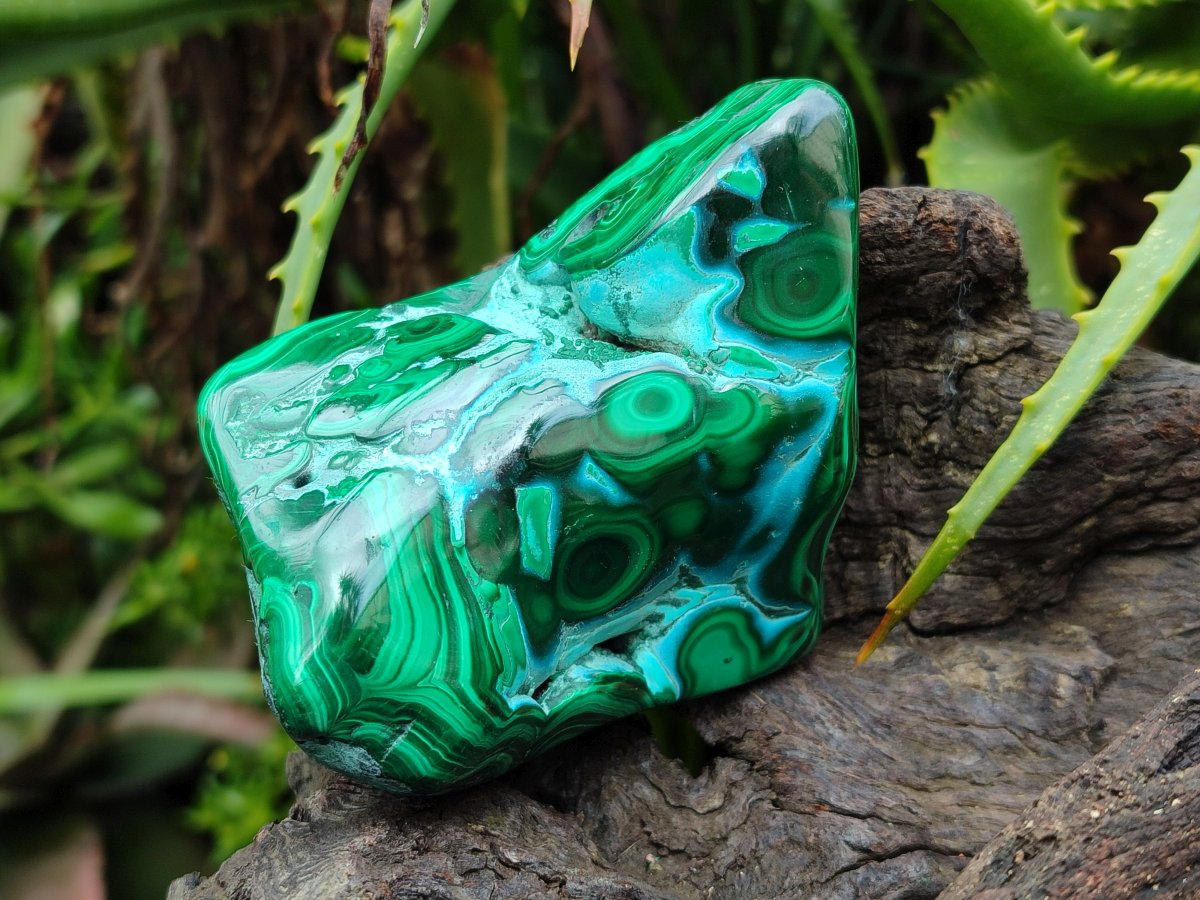 Polished Malacolla Free Forms x 4 From Kulukuluku, Congo - Toprock Gemstones and Minerals 