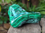 Polished Malacolla Free Forms x 4 From Kulukuluku, Congo - Toprock Gemstones and Minerals 