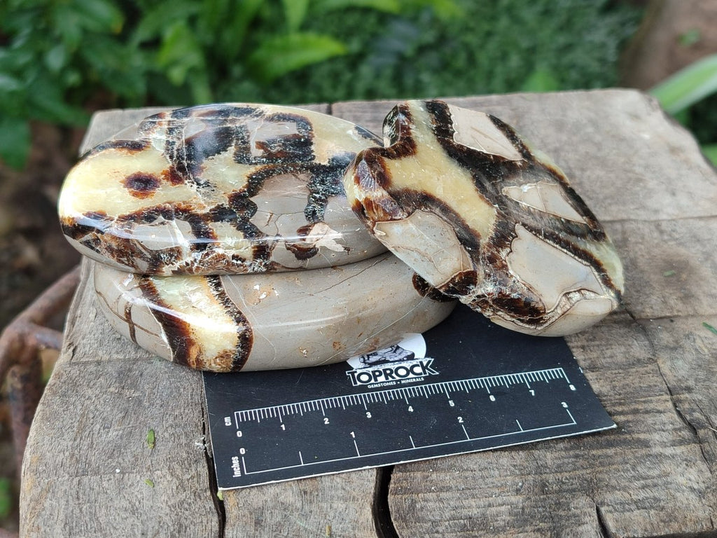 Polished Septerye Slices x 12 From Mahajanga, Madagascar - Toprock Gemstones and Minerals 
