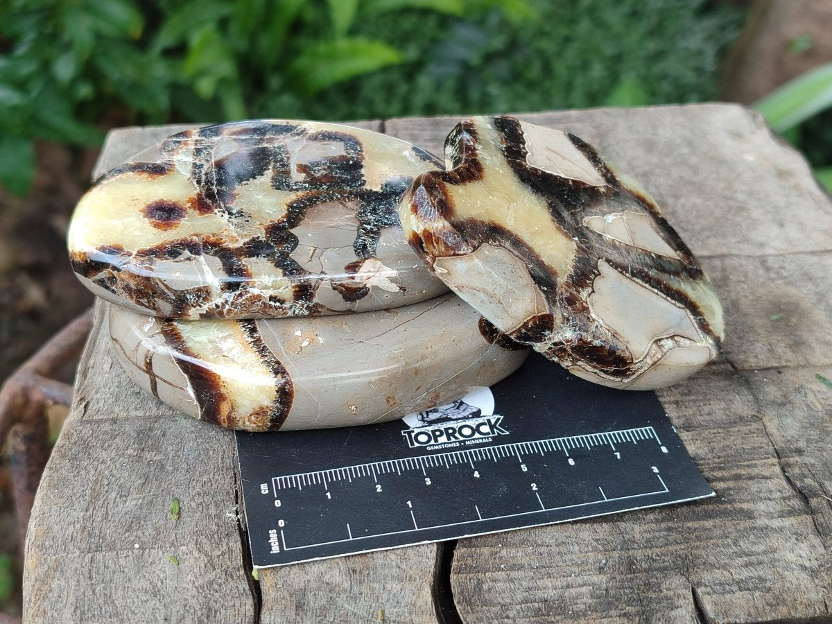 Polished Septerye Slices x 12 From Mahajanga, Madagascar - Toprock Gemstones and Minerals 