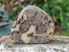 Polished Septerye Slices x 12 From Mahajanga, Madagascar - Toprock Gemstones and Minerals 
