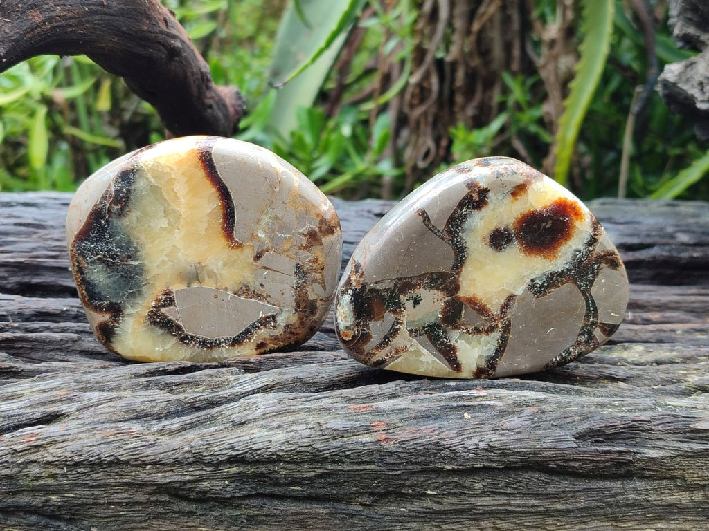 Polished Septerye Slices x 12 From Mahajanga, Madagascar - Toprock Gemstones and Minerals 