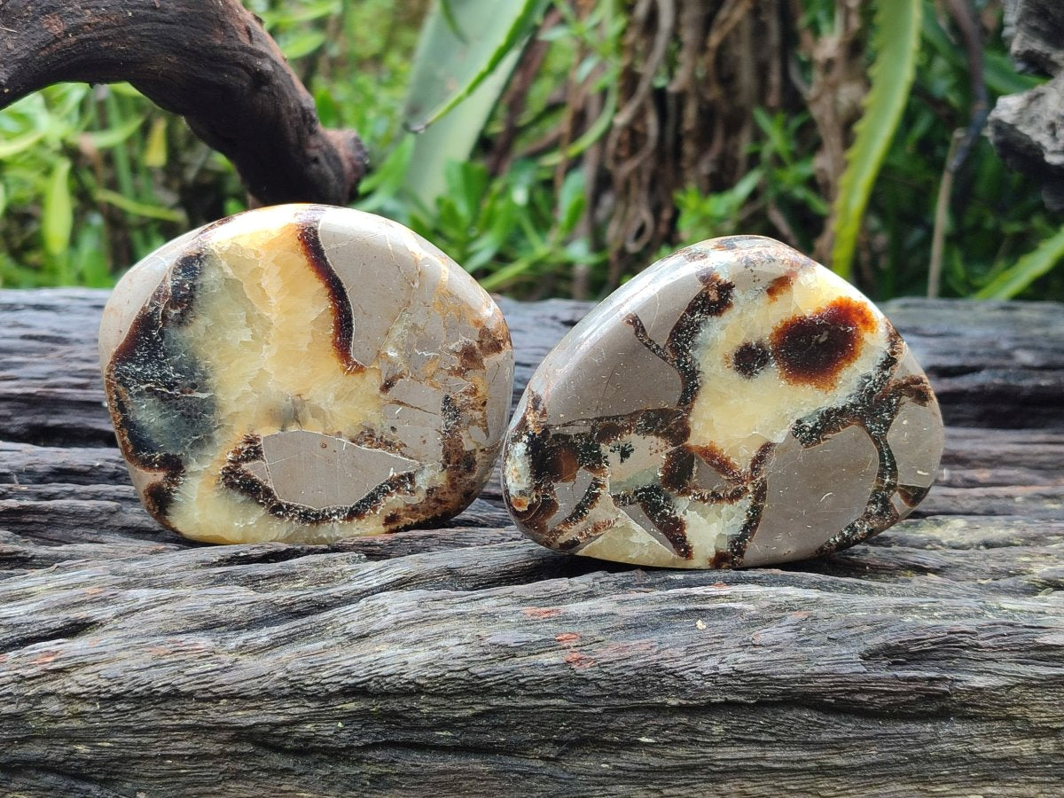 Polished Septerye Slices x 12 From Mahajanga, Madagascar - Toprock Gemstones and Minerals 