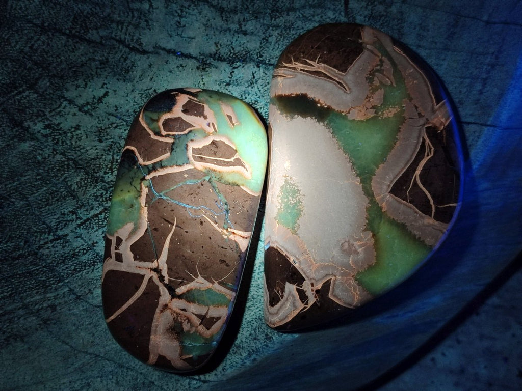 Polished Septerye Slices x 12 From Mahajanga, Madagascar - Toprock Gemstones and Minerals 