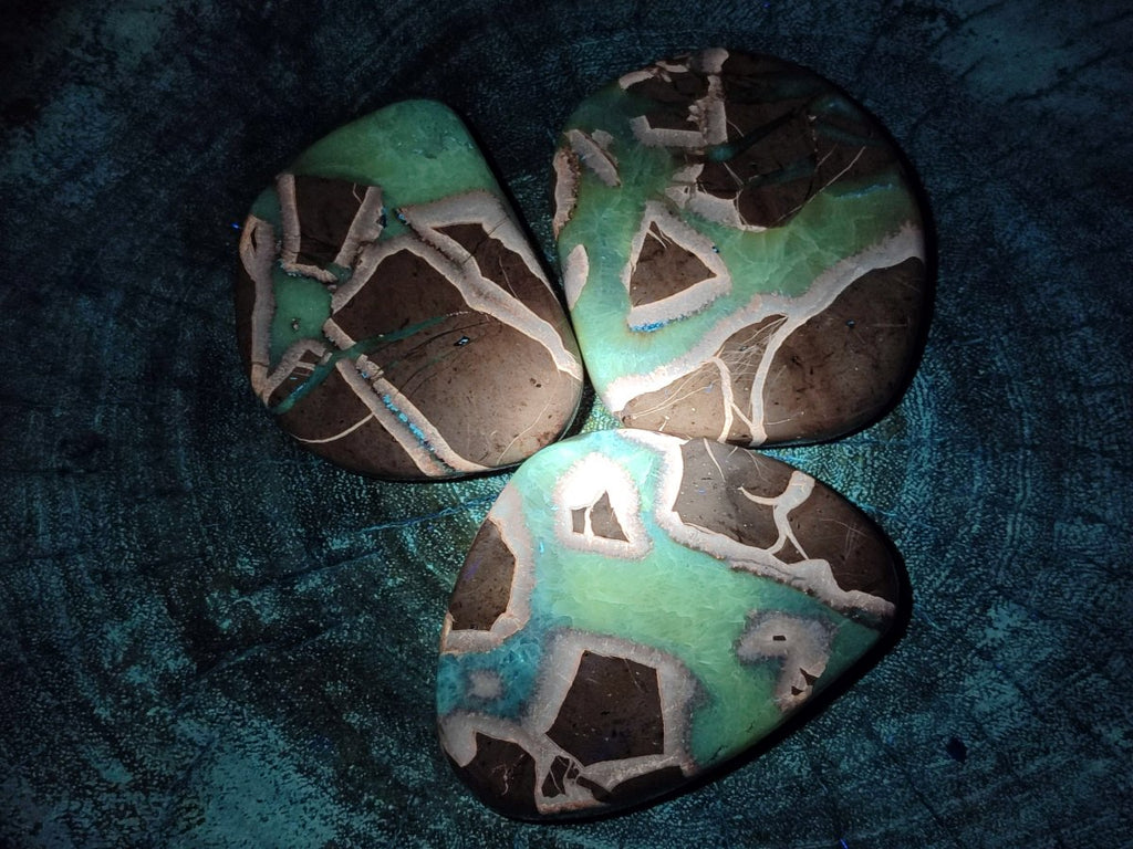 Polished Septerye Slices x 12 From Mahajanga, Madagascar - Toprock Gemstones and Minerals 