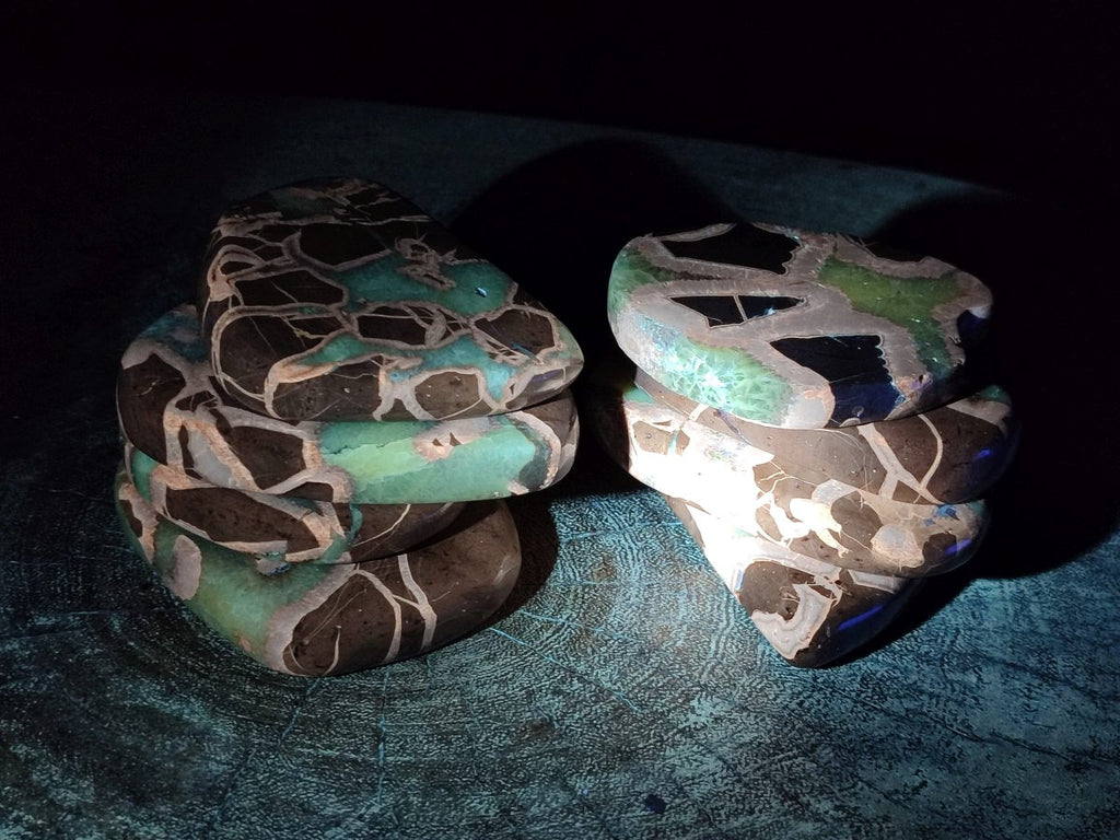 Polished Septerye Slices x 12 From Mahajanga, Madagascar - Toprock Gemstones and Minerals 