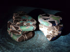 Polished Septerye Slices x 12 From Mahajanga, Madagascar - Toprock Gemstones and Minerals 