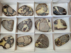 Polished Septerye Slices x 12 From Mahajanga, Madagascar - Toprock Gemstones and Minerals 