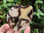 Polished Septerye Slices x 12 From Mahajanga, Madagascar - Toprock Gemstones and Minerals 