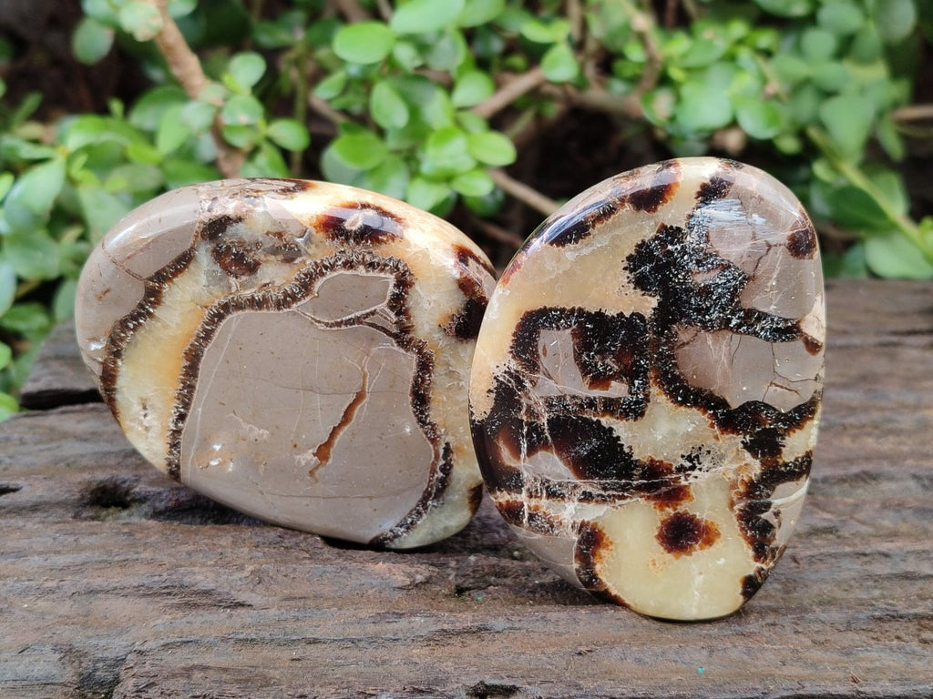 Polished Septerye Slices x 12 From Mahajanga, Madagascar - Toprock Gemstones and Minerals 