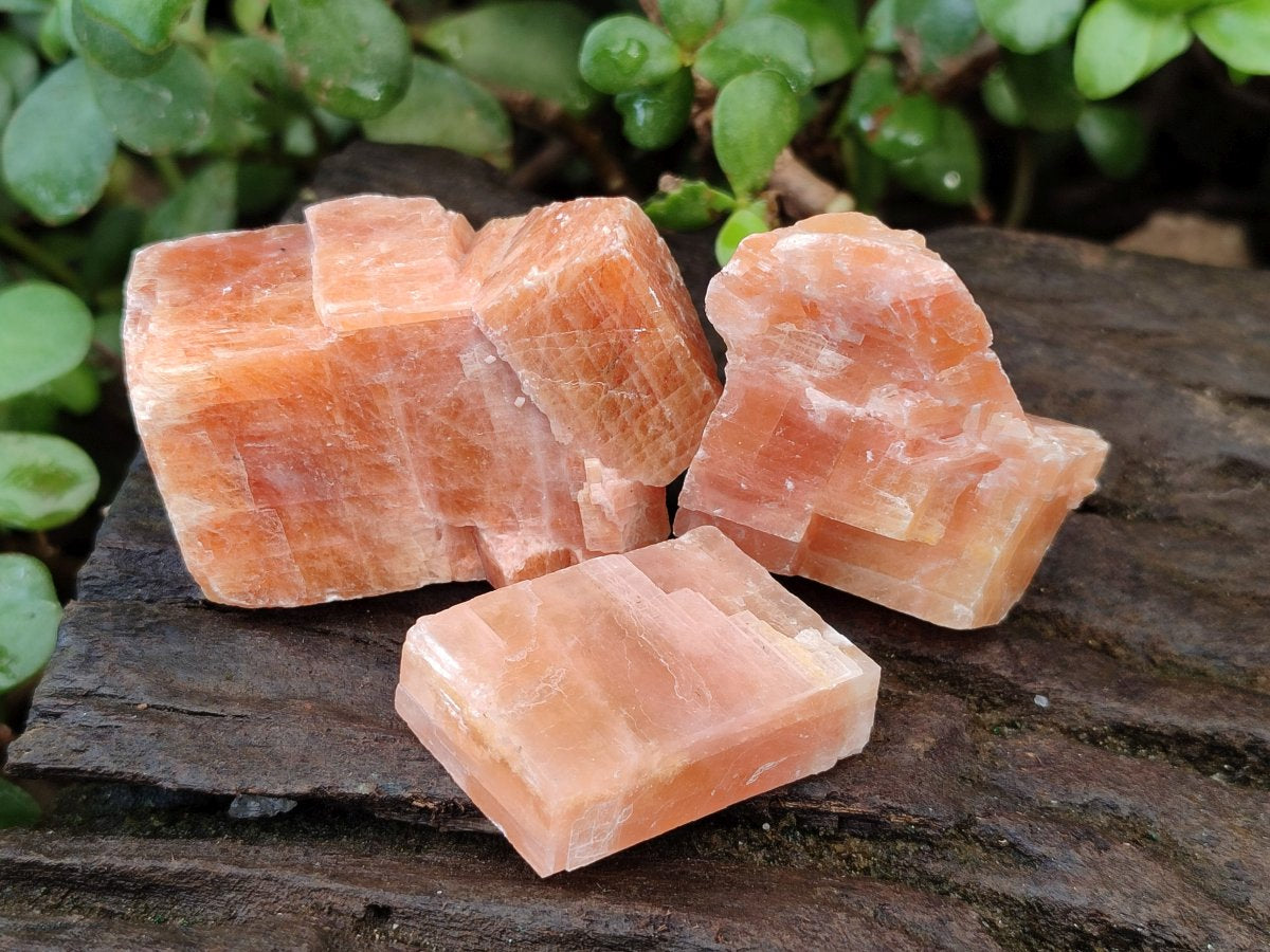 Natural Rhombohedral Sunset Orange Calcite Specimens x 35 From Spitzkop, Namibia - Toprock Gemstones and Minerals 