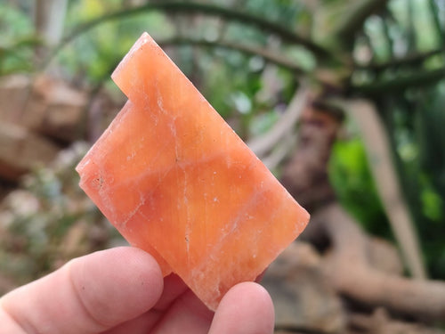 Natural Rhombohedral Sunset Orange Calcite Specimens x 35 From Spitzkop, Namibia - Toprock Gemstones and Minerals 
