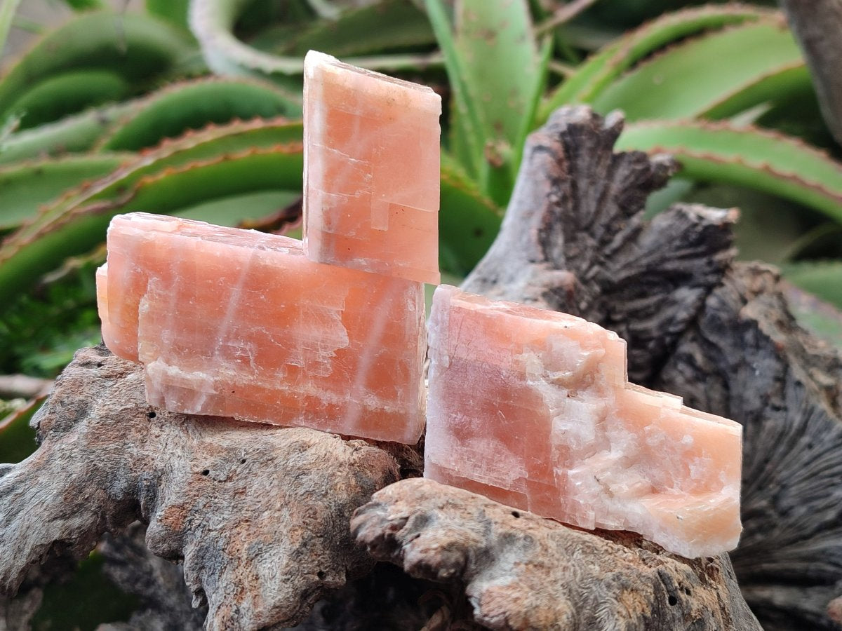 Natural Rhombohedral Sunset Orange Calcite Specimens x 35 From Spitzkop, Namibia - Toprock Gemstones and Minerals 