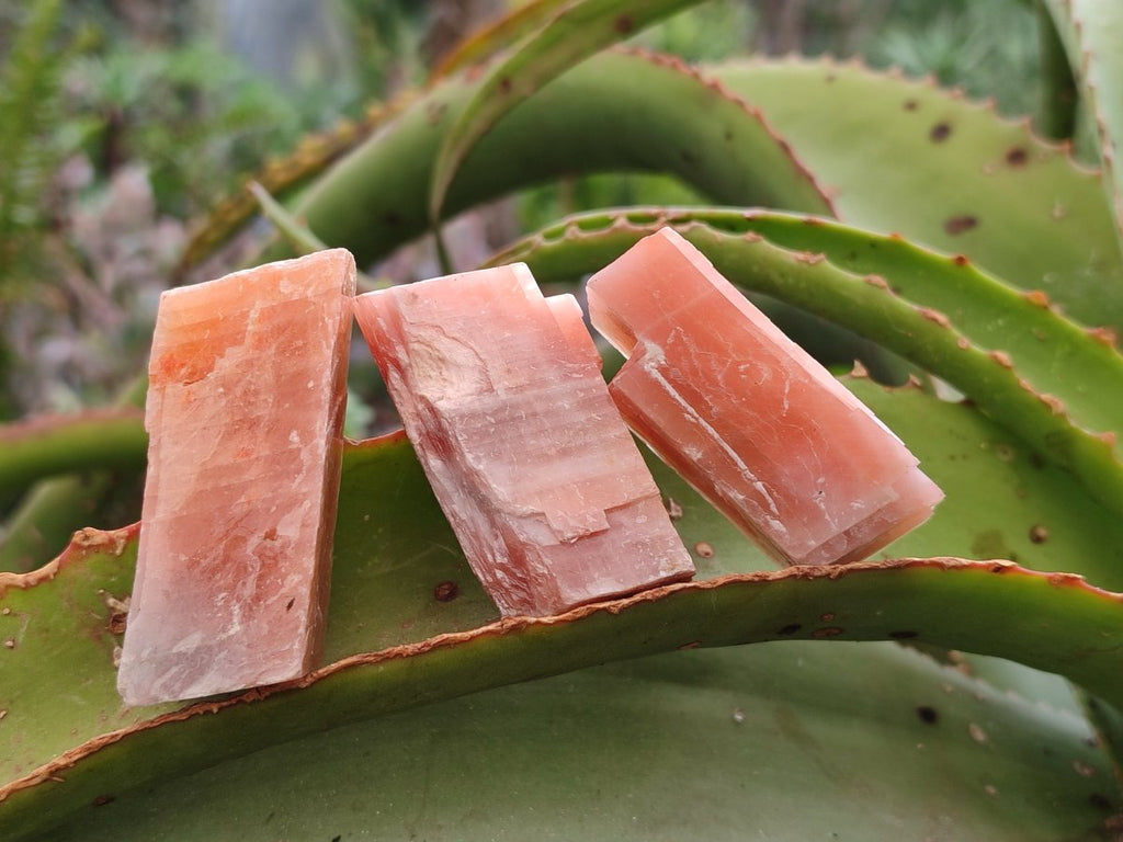 Natural Rhombohedral Sunset Orange Calcite Specimens x 35 From Spitzkop, Namibia - Toprock Gemstones and Minerals 