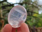 Polished Gemmy Rose Quartz Palm Stones x 45 From Madagascar - Toprock Gemstones and Minerals 