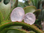 Polished Gemmy Rose Quartz Palm Stones x 45 From Madagascar - Toprock Gemstones and Minerals 