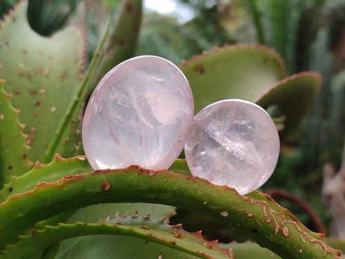 Polished Gemmy Rose Quartz Palm Stones x 45 From Madagascar - Toprock Gemstones and Minerals 