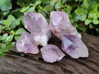 Natural Jacaranda Amethyst Single Crystals x 35 From Mumbwa, Zambia - Toprock Gemstones and Minerals 