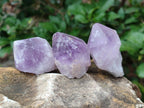 Natural Jacaranda Amethyst Single Crystals x 35 From Mumbwa, Zambia - Toprock Gemstones and Minerals 