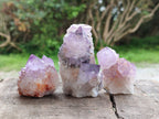 Natural Spirit Amethyst Clusters x 12 From Boekenhouthoek, South Africa - Toprock Gemstones and Minerals 