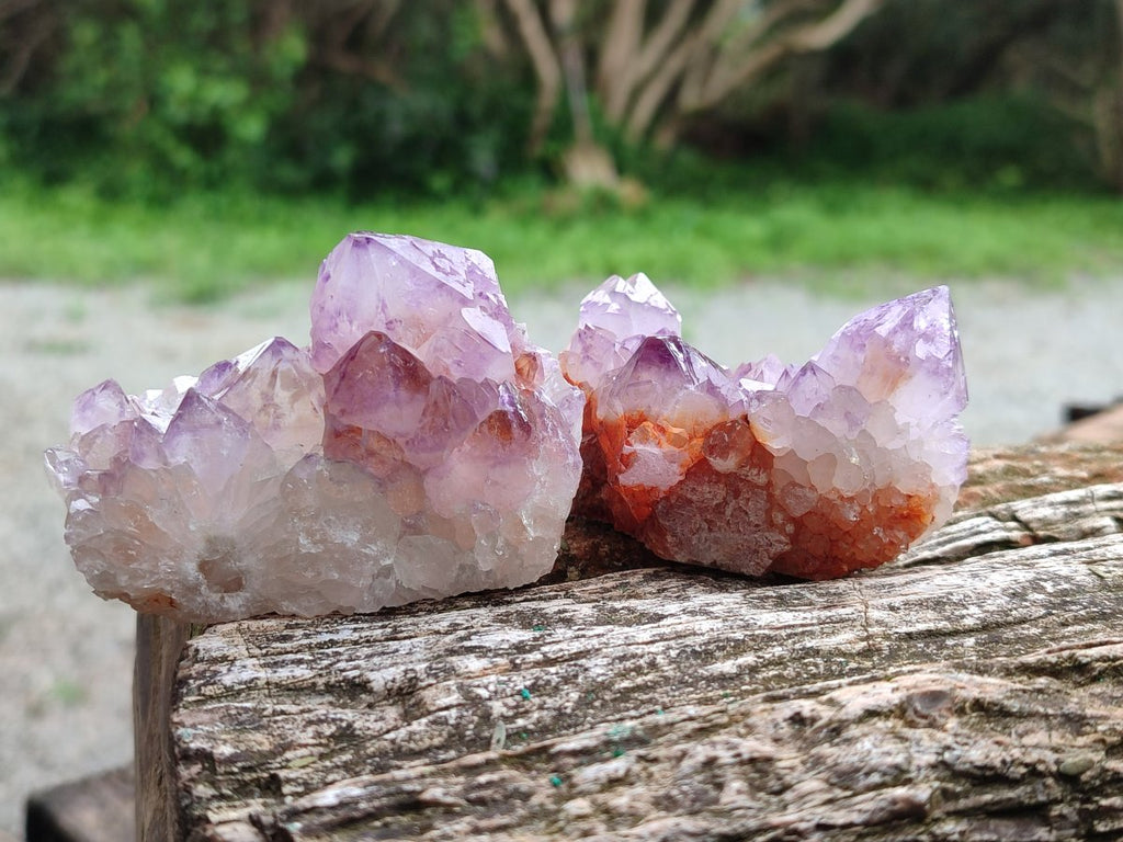 Natural Spirit Amethyst Clusters x 12 From Boekenhouthoek, South Africa - Toprock Gemstones and Minerals 