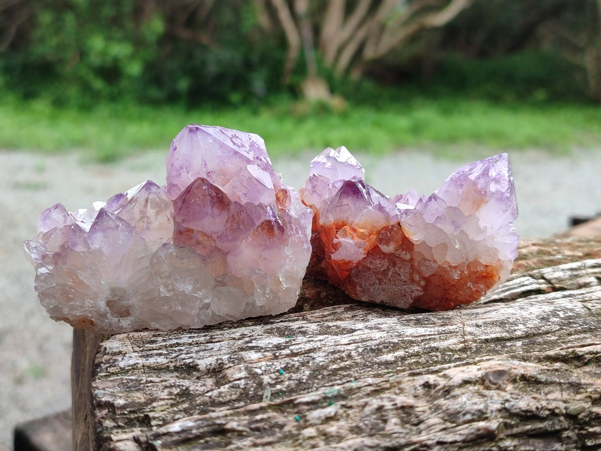 Natural Spirit Amethyst Clusters x 12 From Boekenhouthoek, South Africa - Toprock Gemstones and Minerals 