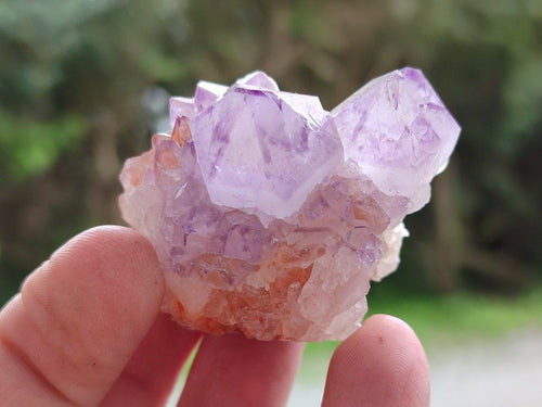 Natural Spirit Amethyst Clusters x 12 From Boekenhouthoek, South Africa - Toprock Gemstones and Minerals 
