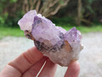 Natural Spirit Amethyst Clusters x 12 From Boekenhouthoek, South Africa - Toprock Gemstones and Minerals 