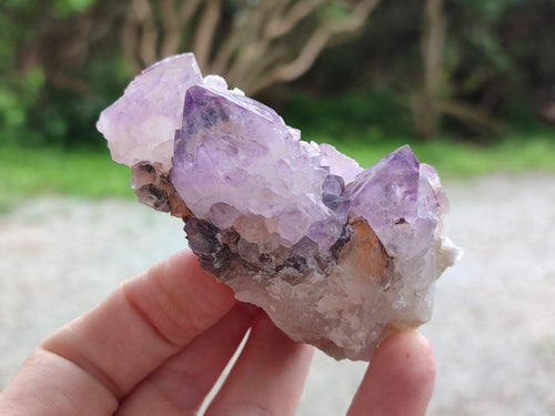 Natural Spirit Amethyst Clusters x 12 From Boekenhouthoek, South Africa - Toprock Gemstones and Minerals 
