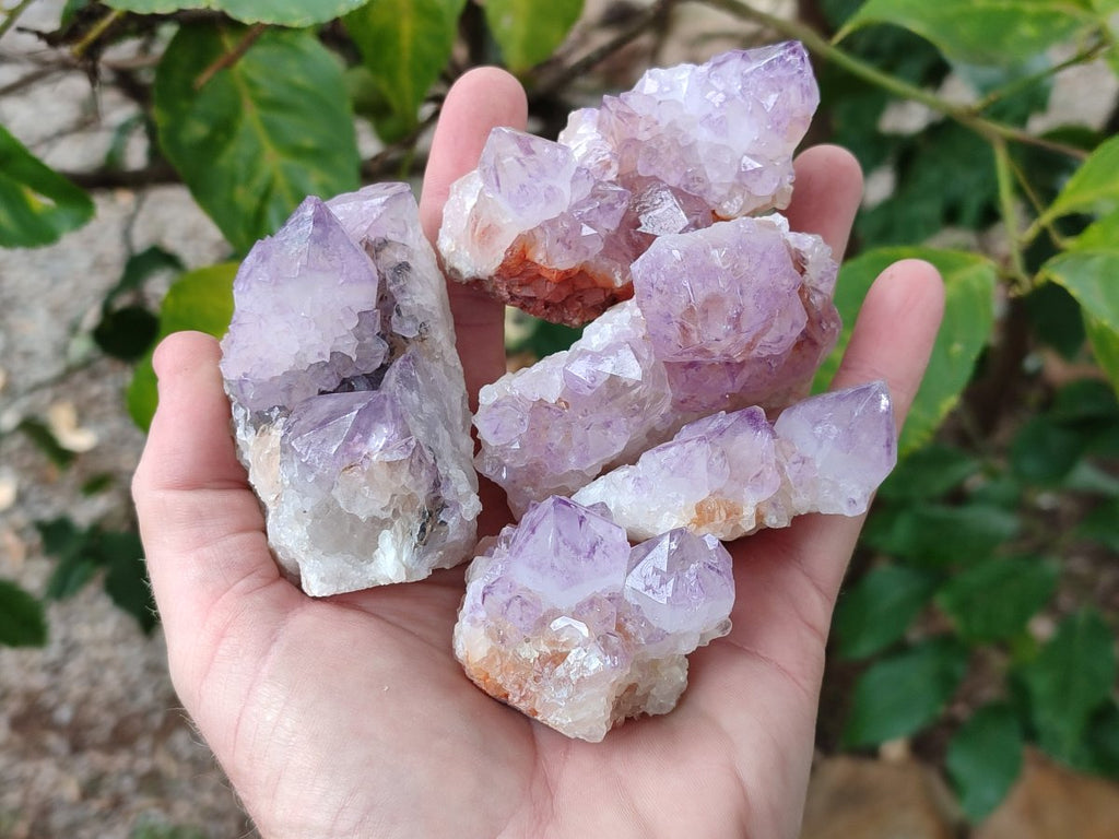 Natural Spirit Amethyst Clusters x 12 From Boekenhouthoek, South Africa - Toprock Gemstones and Minerals 