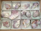 Natural Spirit Amethyst Clusters x 12 From Boekenhouthoek, South Africa - Toprock Gemstones and Minerals 