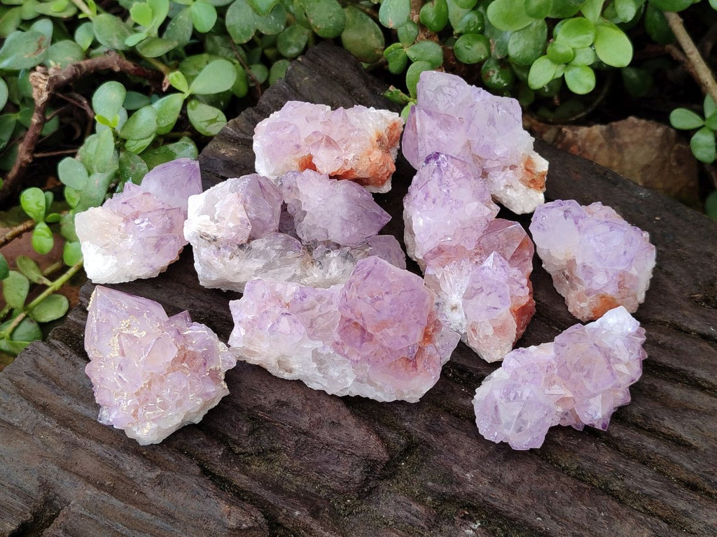 Natural Spirit Amethyst Clusters x 12 From Boekenhouthoek, South Africa - Toprock Gemstones and Minerals 