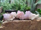 Natural Spirit Amethyst Clusters x 12 From Boekenhouthoek, South Africa - Toprock Gemstones and Minerals 