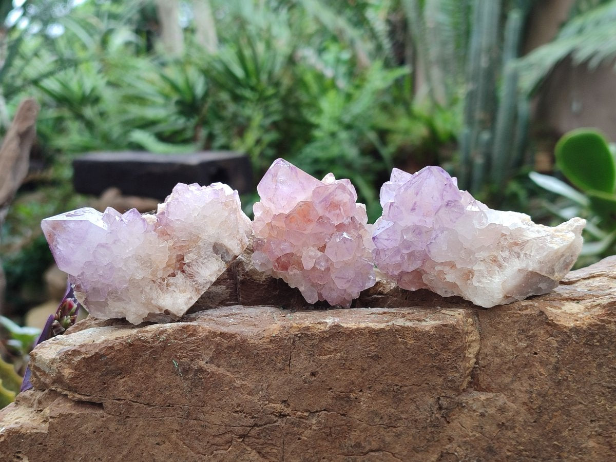 Natural Spirit Amethyst Clusters x 12 From Boekenhouthoek, South Africa - Toprock Gemstones and Minerals 