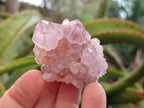 Natural Spirit Amethyst Clusters x 12 From Boekenhouthoek, South Africa - Toprock Gemstones and Minerals 