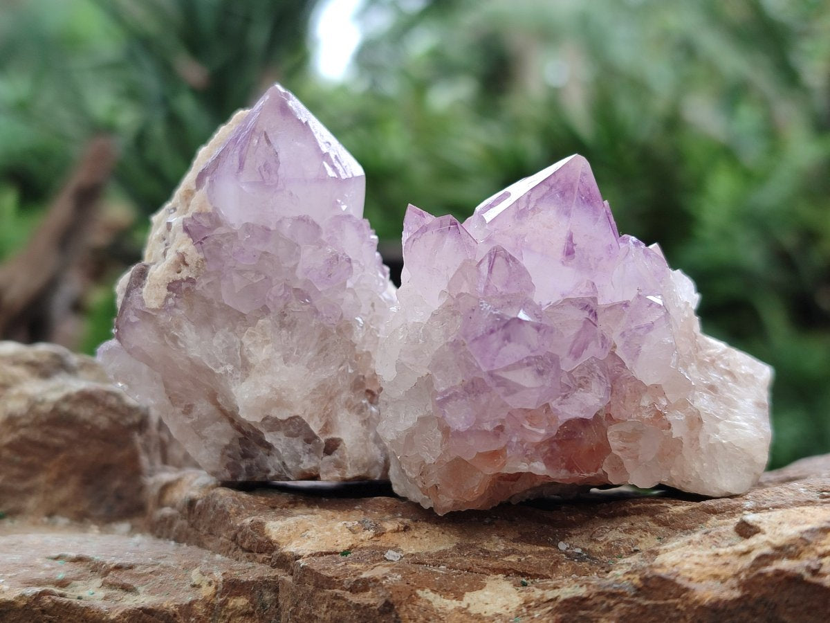 Natural Spirit Amethyst Clusters x 12 From Boekenhouthoek, South Africa - Toprock Gemstones and Minerals 