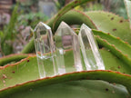 Polished Clear Quartz Display Crystals x 20 From Madagascar - Toprock Gemstones and Minerals 
