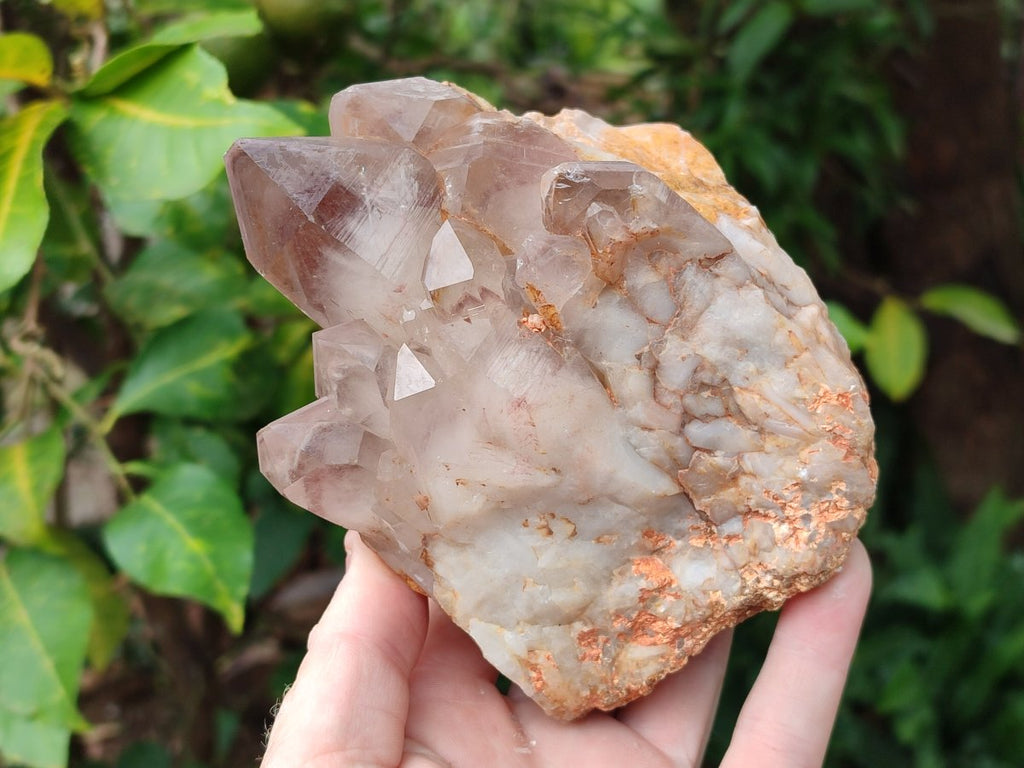 Natural Red Hematoid Quartz Crystal Clusters x 3 From Karoi, Zimbabwe - Toprock Gemstones and Minerals 