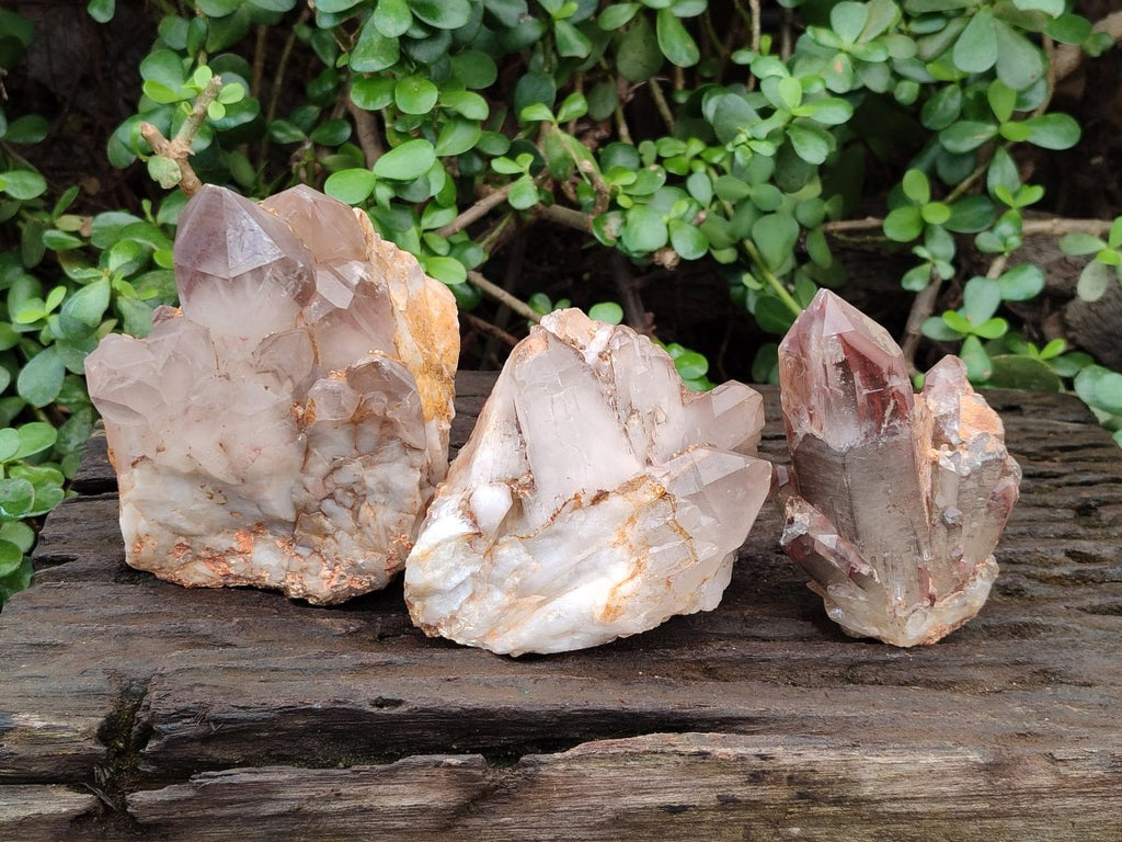 Natural Red Hematoid Quartz Crystal Clusters x 3 From Karoi, Zimbabwe - Toprock Gemstones and Minerals 
