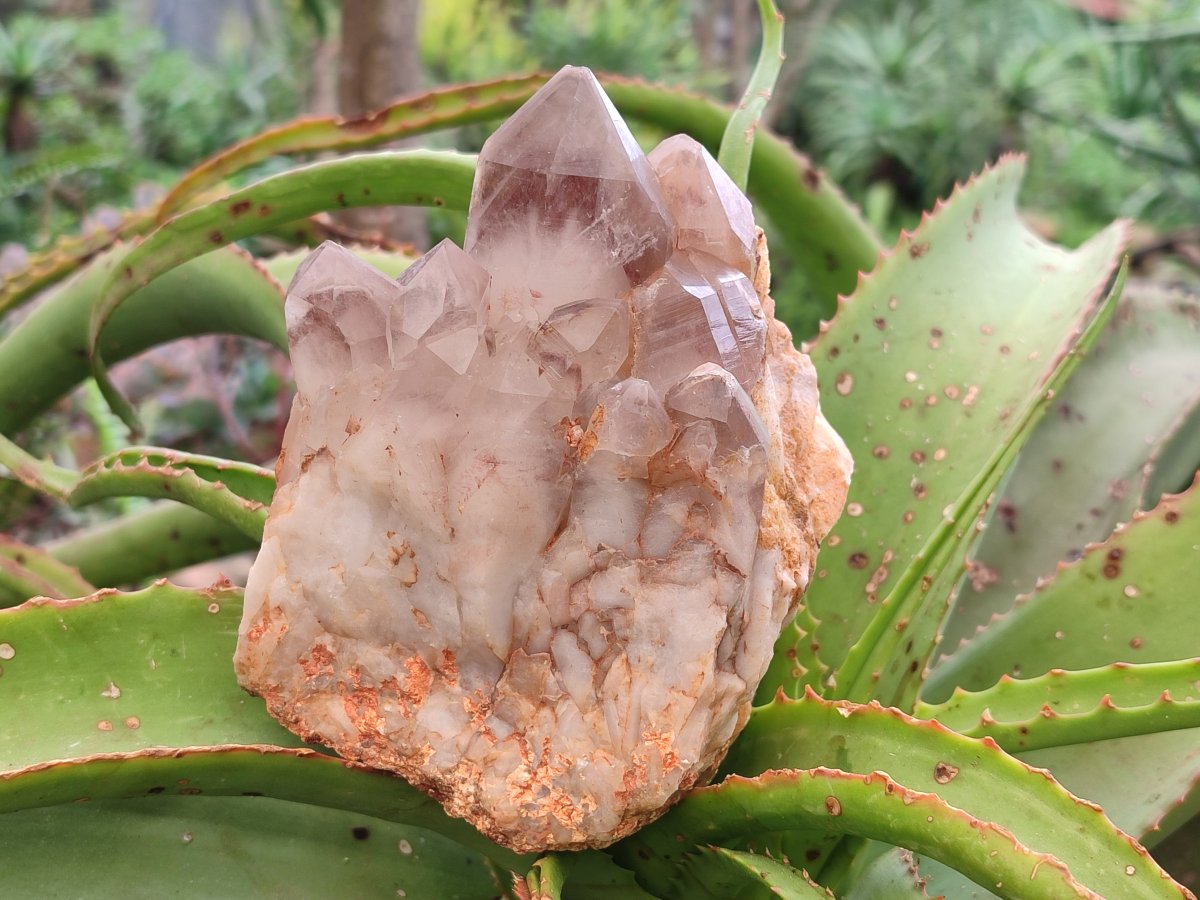 Natural Red Hematoid Quartz Crystal Clusters x 3 From Karoi, Zimbabwe - Toprock Gemstones and Minerals 