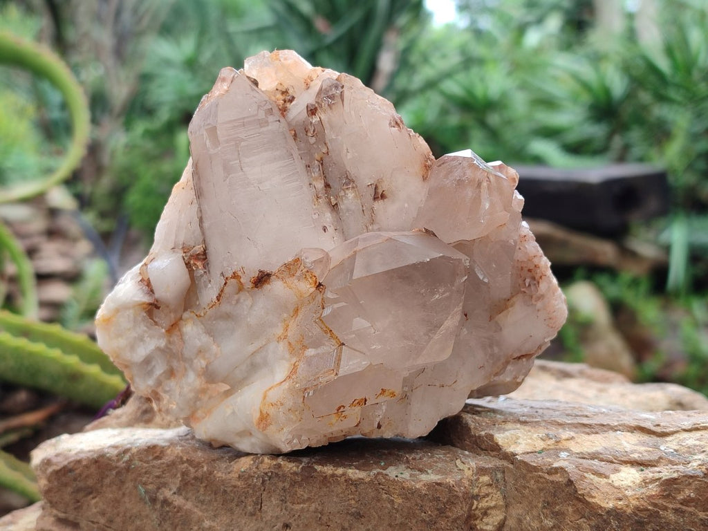 Natural Red Hematoid Quartz Crystal Clusters x 3 From Karoi, Zimbabwe - Toprock Gemstones and Minerals 