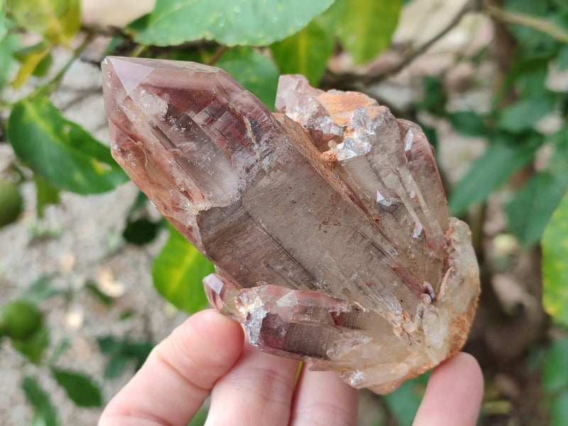 Natural Red Hematoid Quartz Crystal Clusters x 3 From Karoi, Zimbabwe - Toprock Gemstones and Minerals 