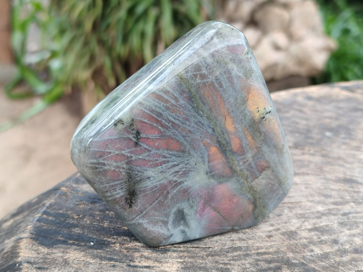 Polished Rare Purple Sunset Flash Labradorite Standing Display Pieces x 3 From Madagascar - Toprock Gemstones and Minerals 