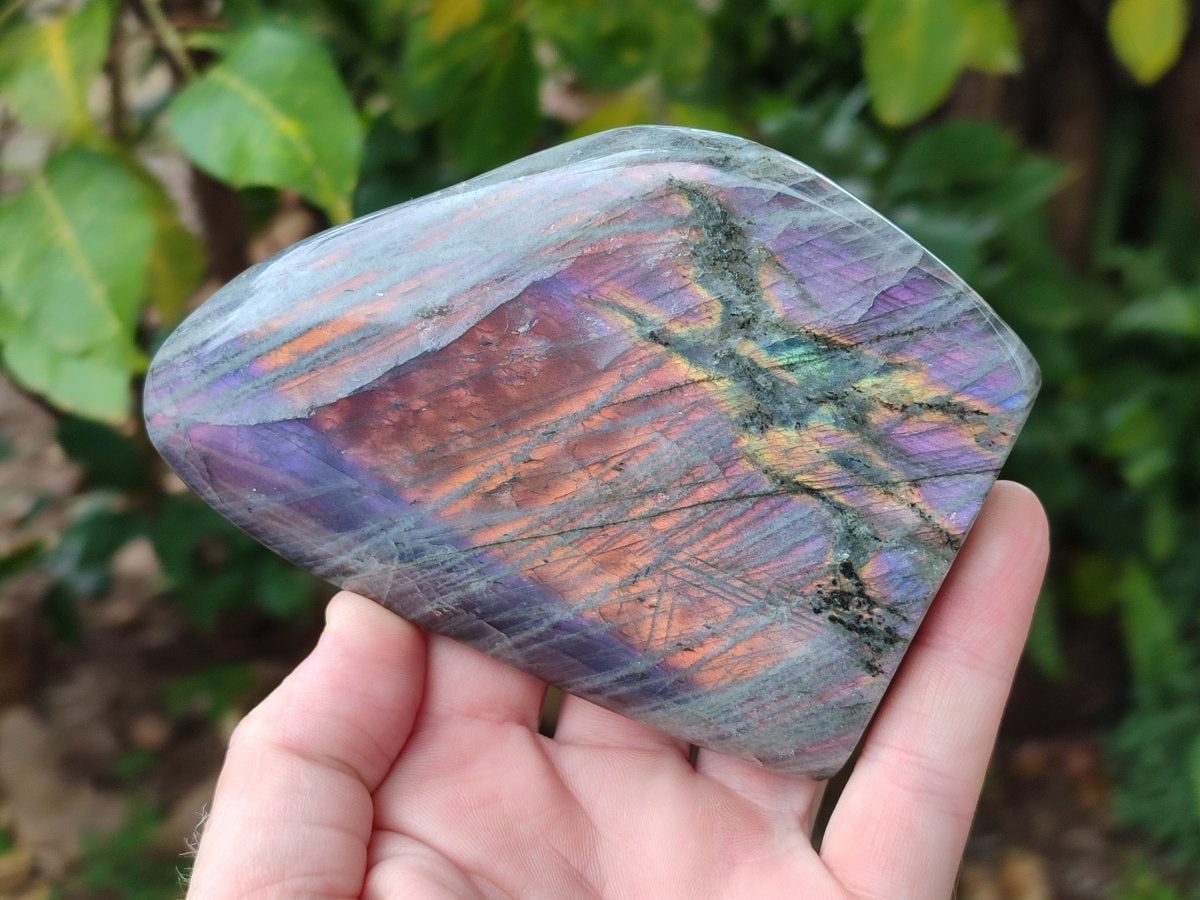 Polished Rare Purple Sunset Flash Labradorite Standing Display Pieces x 3 From Madagascar - Toprock Gemstones and Minerals 