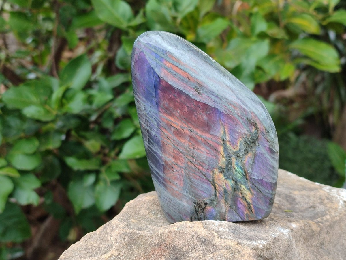 Polished Rare Purple Sunset Flash Labradorite Standing Display Pieces x 3 From Madagascar - Toprock Gemstones and Minerals 