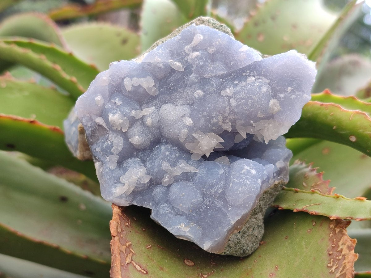 Natural Blue Lace Agate Geode Specimens x 6 From Nsanje, Malawi - Toprock Gemstones and Minerals 