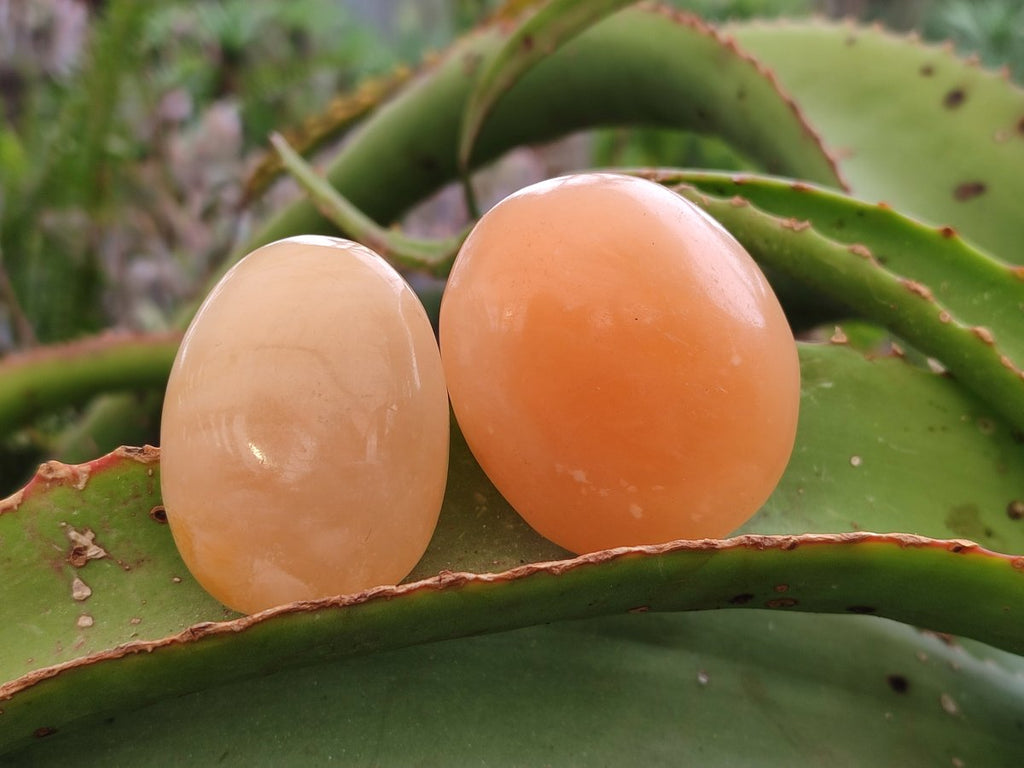 Polished Orange Twist Calcite Galets x 25 From Maevantanana, Madagascar - Toprock Gemstones and Minerals 